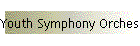 Youth Symphony Orchestra